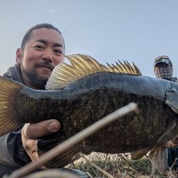 スモールマウスバス