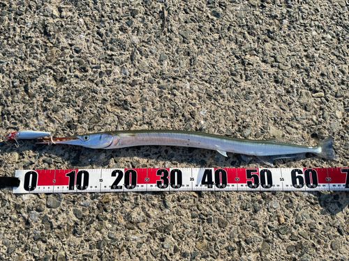 ディズニーリゾート付近