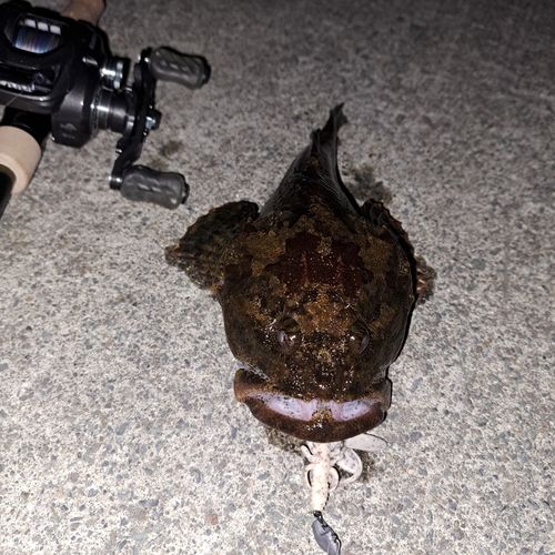 三陸海岸（青森）