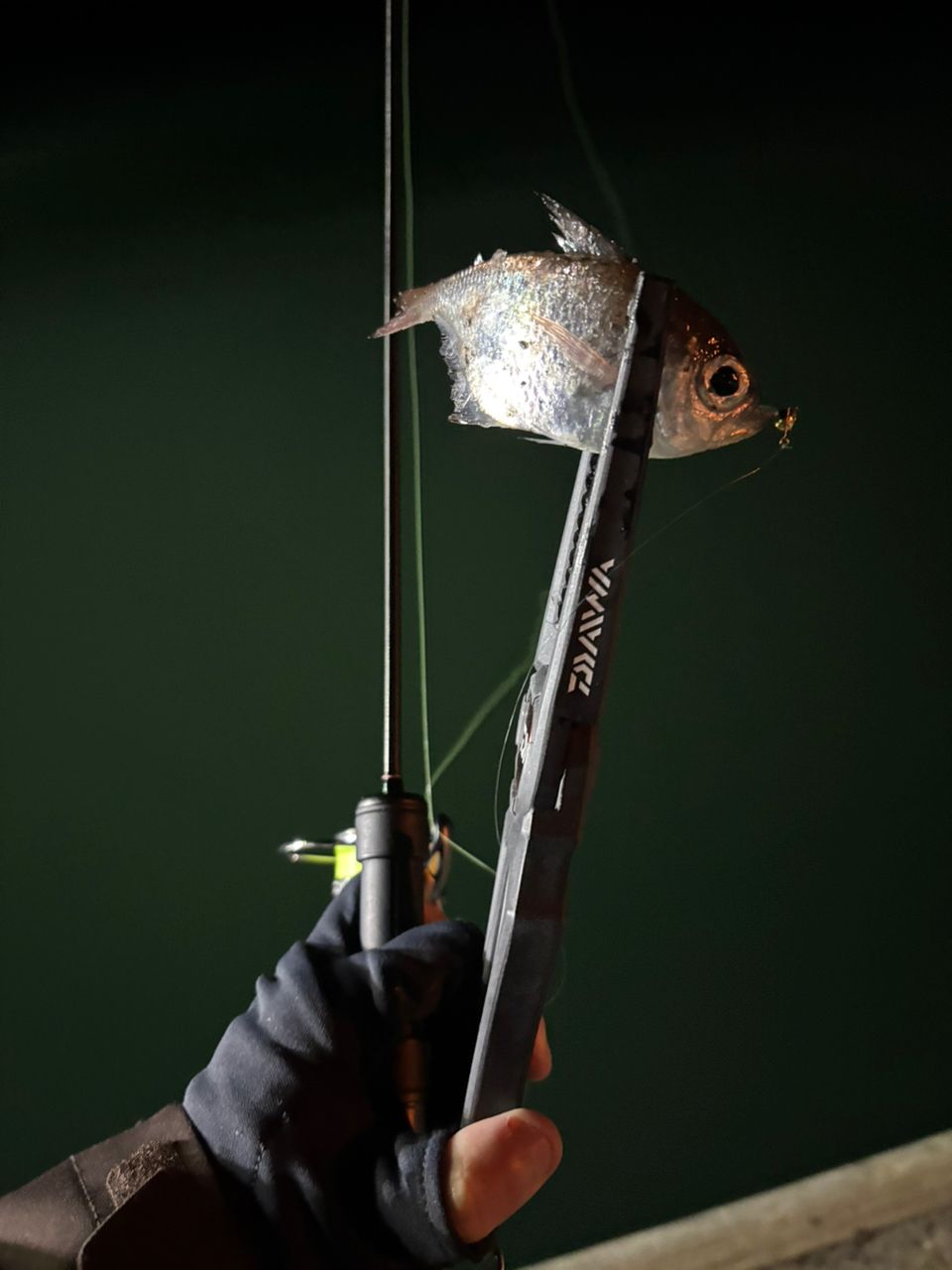 Gamakatsu ラグゼ 宵姫 華 弍 S54AL-solidの最安値・インプレ・釣果