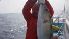 カンパチの釣果