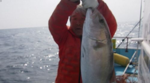 カンパチの釣果