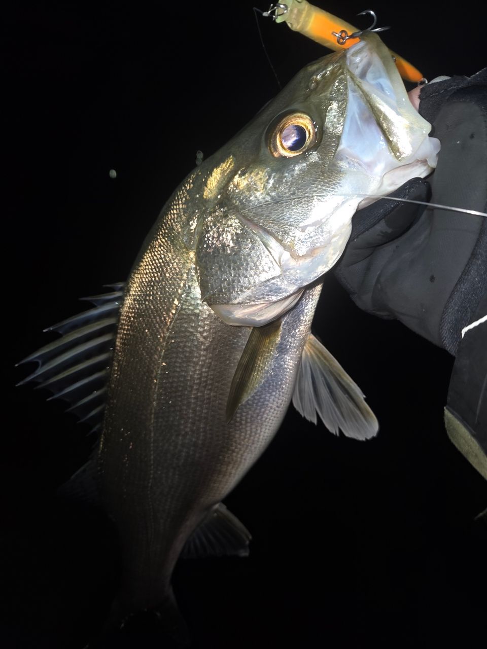 TENRYU スワット SW932S-LMLの最安値・インプレ・釣果 | 本音の口コミ