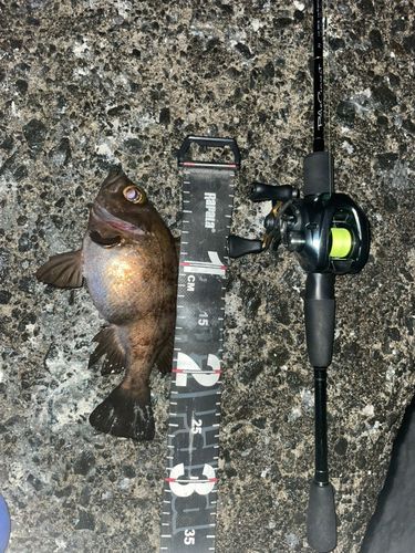 小湊漁港（青森）