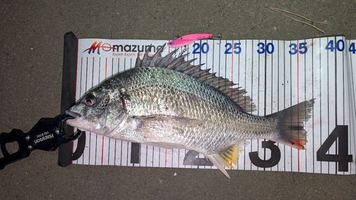 東京湾（アクアライン〜富津）