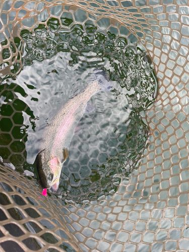 Oyama Water Park 遊水園