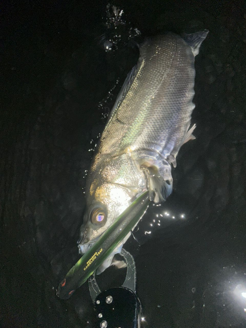 APIA フージン' Z URBAN DINO 90MLの最安値・インプレ・釣果