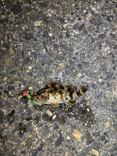 白子漁港（三重）