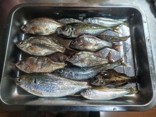 小名浜港アクアマリンふくしま周辺