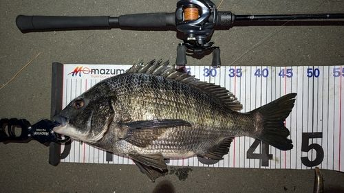 東京湾（アクアライン〜富津）