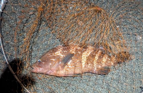 東京湾（アクアライン〜富津）