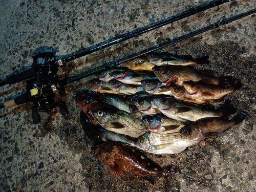 周防大島（屋代島）