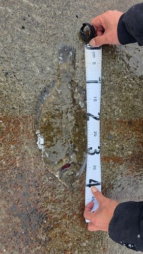 小樽港厩町岸壁