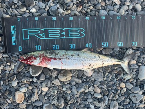 大浜海岸（静岡）