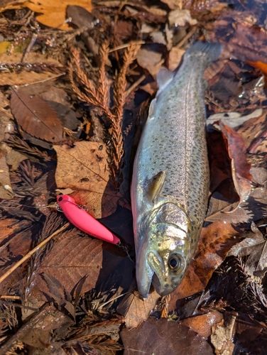 リヴァスポット早戸