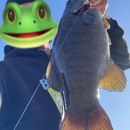 スモールマウスバス