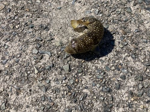 アジュール舞子