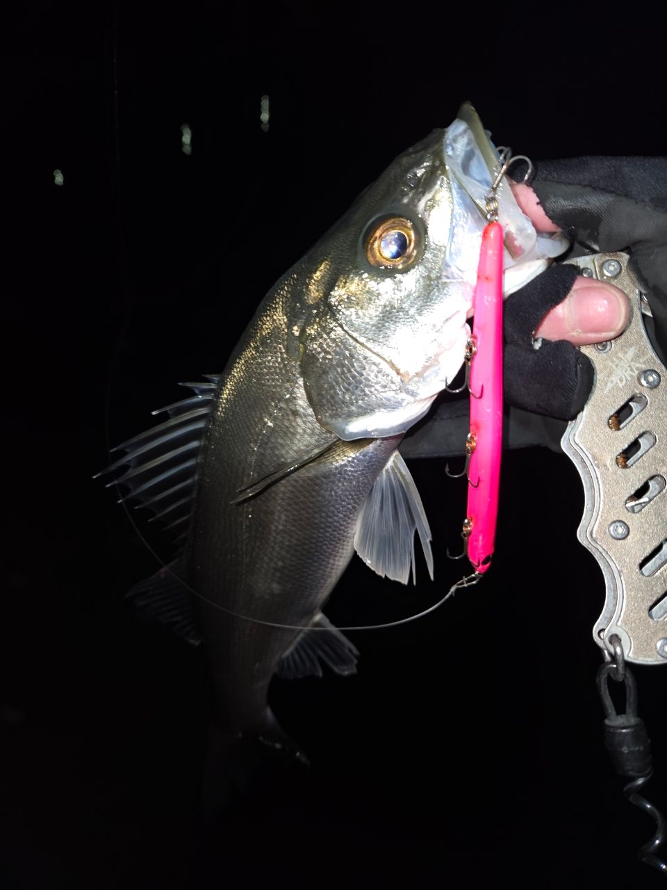 TENRYU スワット SW932S-LMLの最安値・インプレ・釣果 | 本音の口コミ