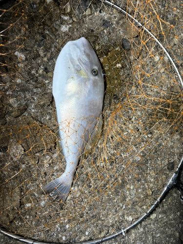 須佐湾フィッシングパーク