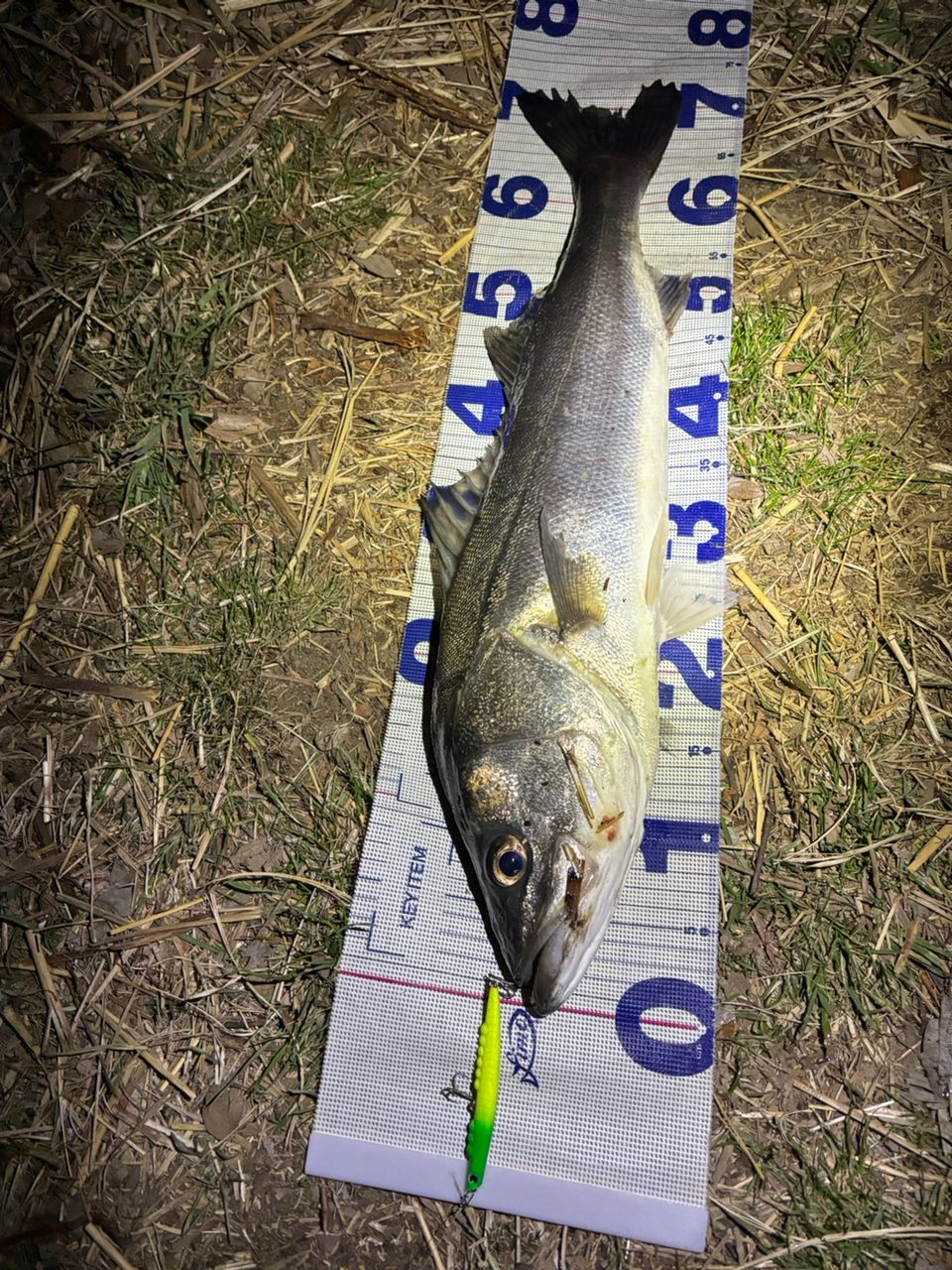 DAIWA 21モアザン ブランジーノ EX AGS 94MLの最安値・インプレ・釣果