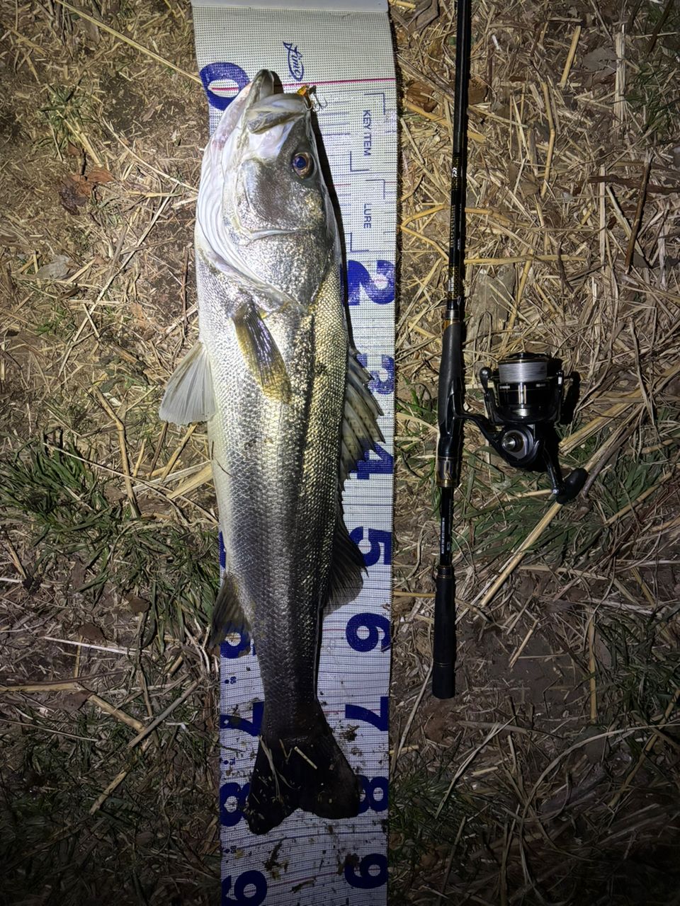 DAIWA 21モアザン ブランジーノ EX AGS 94MLの最安値・インプレ・釣果