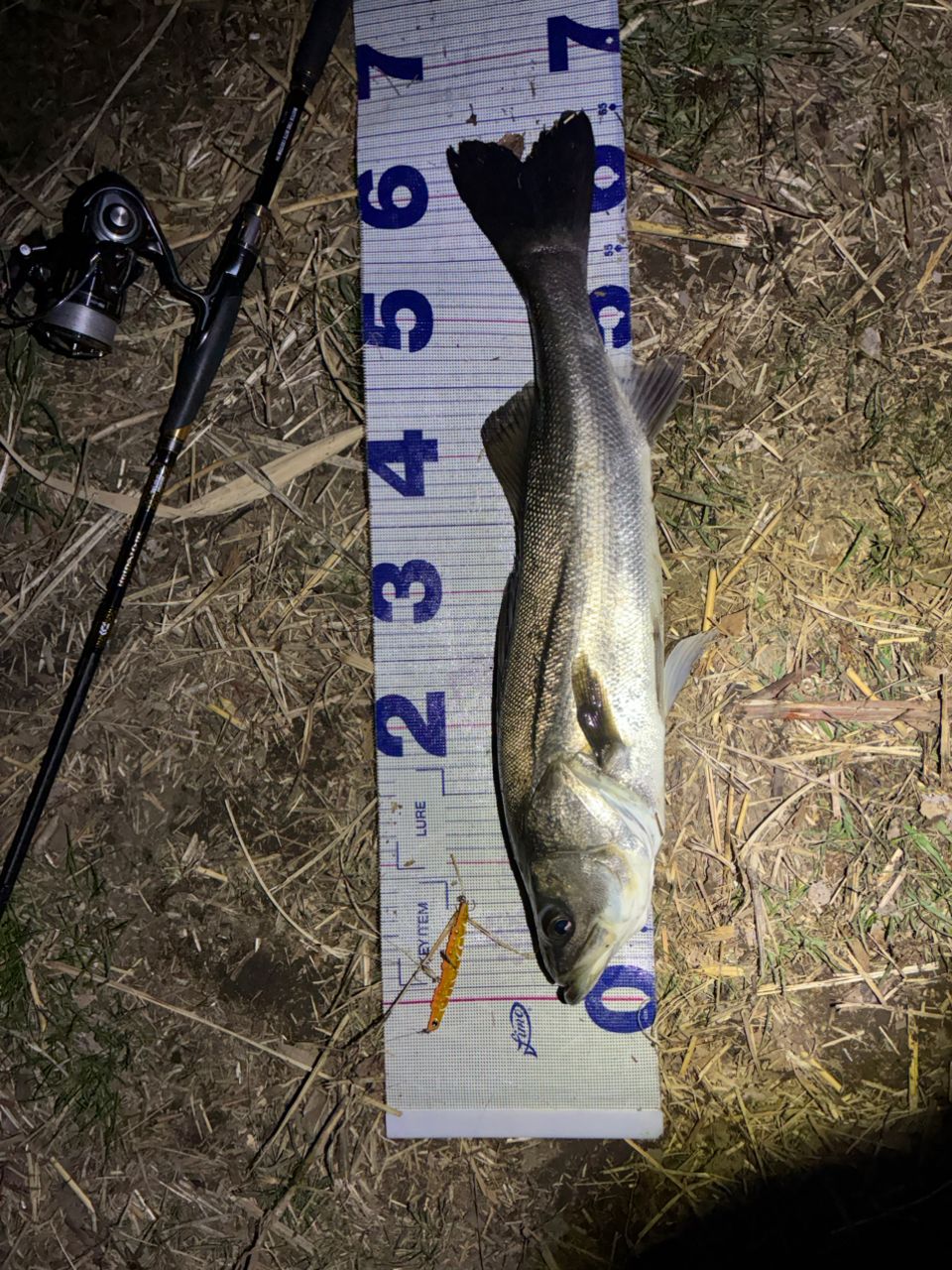 DAIWA 21モアザン ブランジーノ EX AGS 94MLの最安値・インプレ・釣果