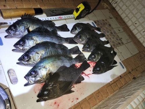 周防大島（屋代島）