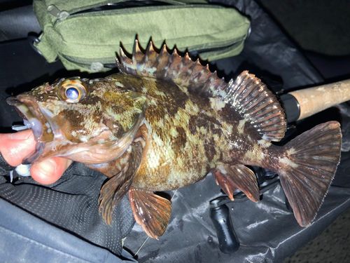 東京湾（アクアライン〜富津）