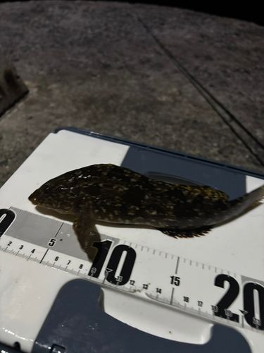 周防大島（屋代島）