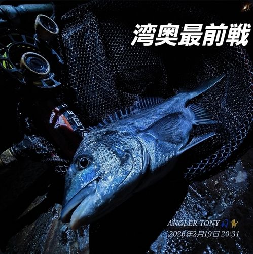 木津川（大阪）