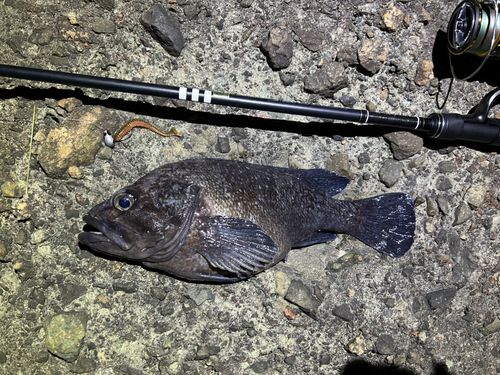 三陸海岸（岩手）