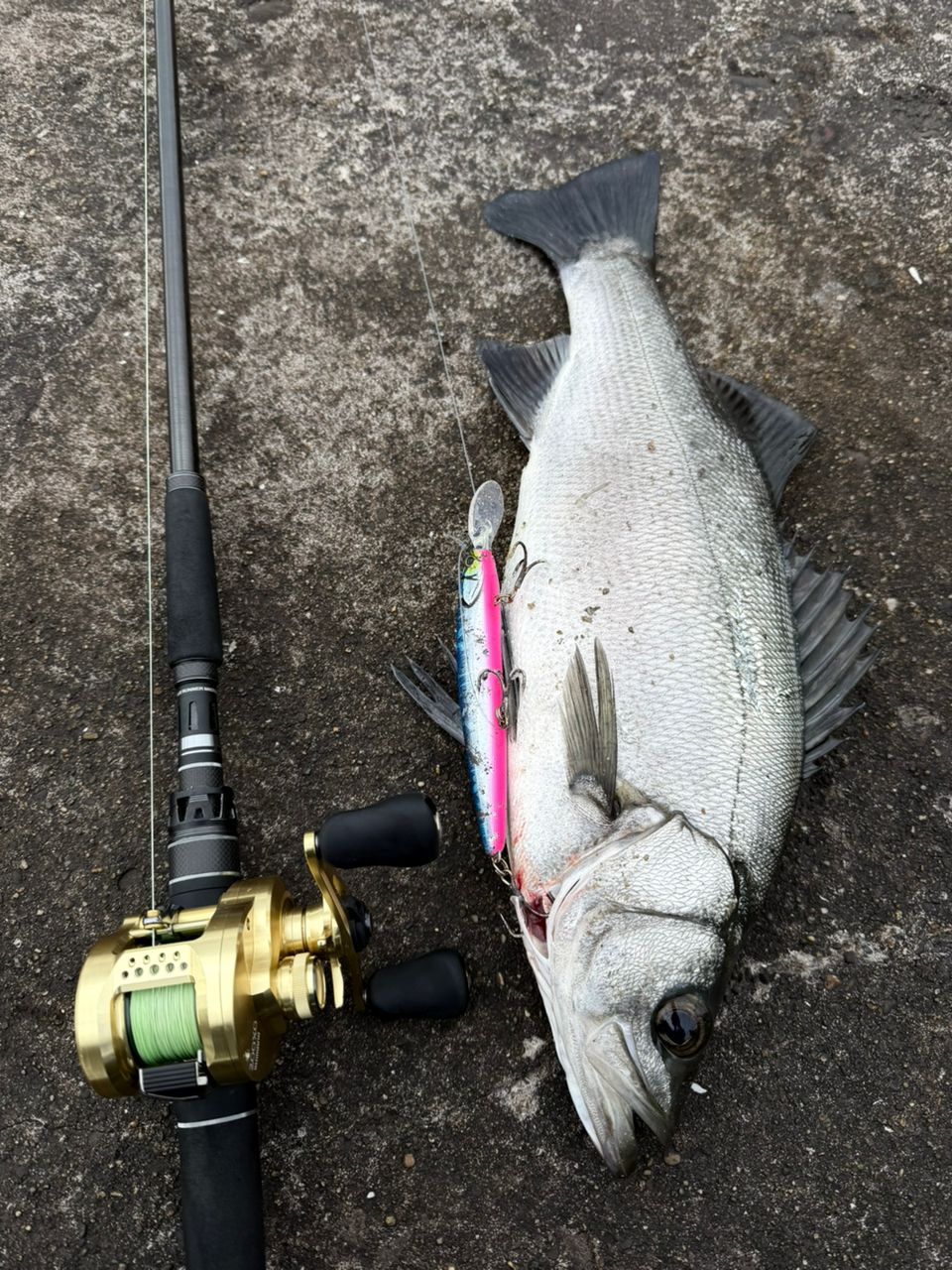 SHIMANO 21カルカッタコンクエスト 200XGの最安値・インプレ・釣果