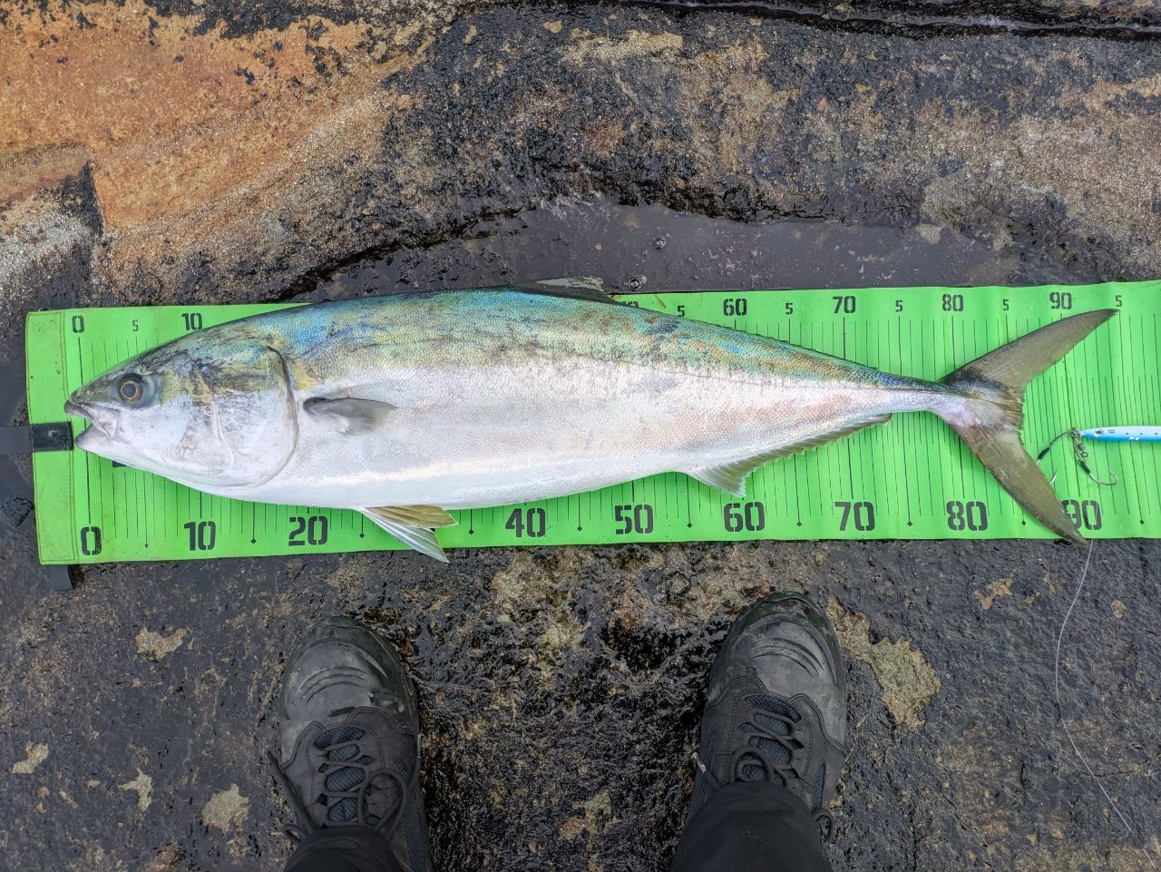 JUMPRIZE ツーリミット ブルーバトル 102/4 スタンダードの最安値