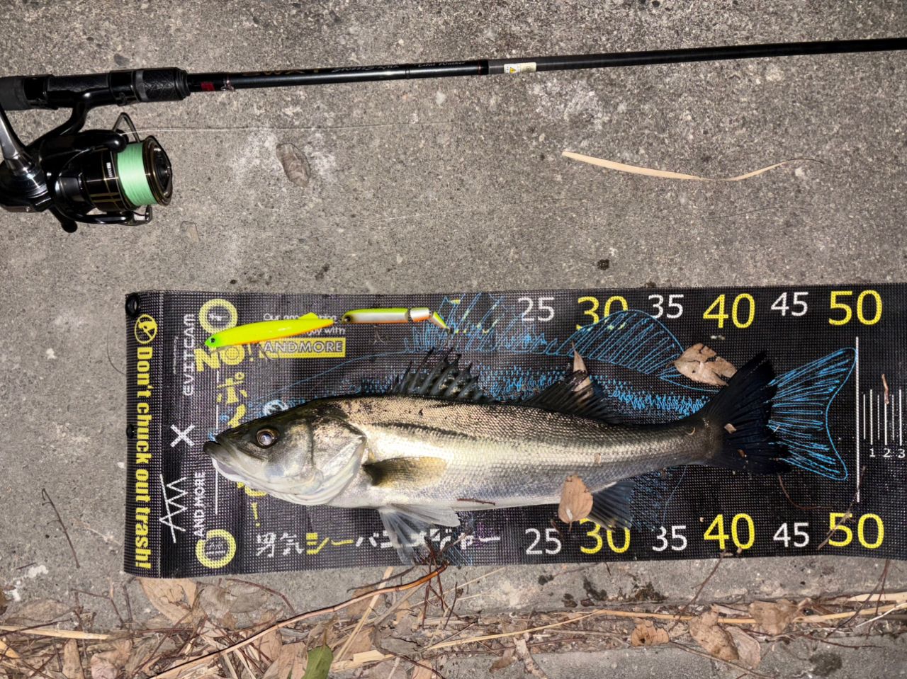 TENRYU スワット SW932S-LMLの最安値・インプレ・釣果 | 本音の口コミ