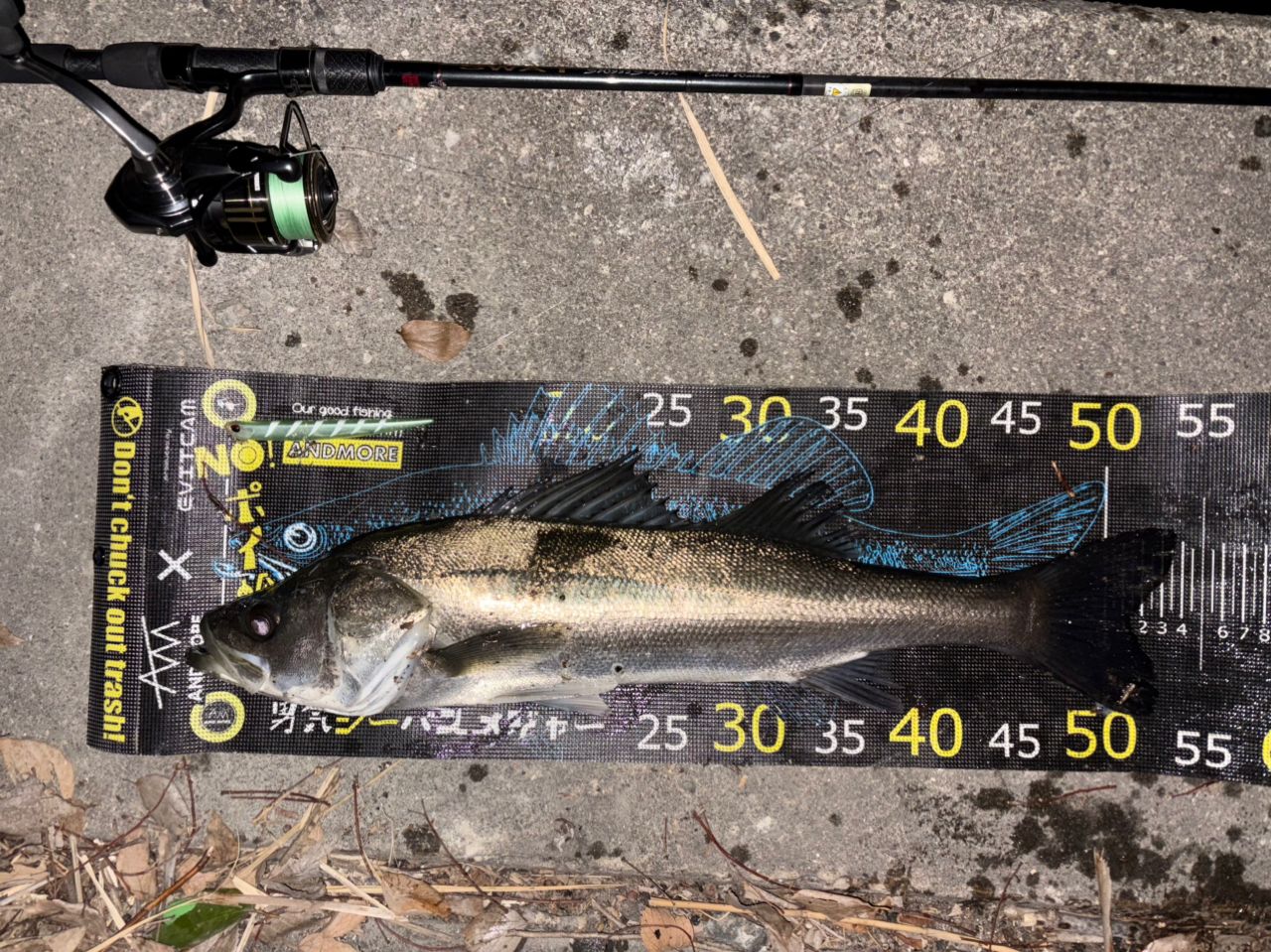 TENRYU スワット SW932S-LMLの最安値・インプレ・釣果 | 本音の口コミ