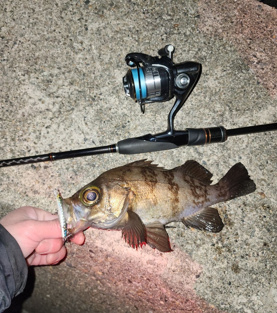 SHIMANO 17ソアレ CI4+ S706UL-Tの最安値・インプレ・釣果 | 本音の