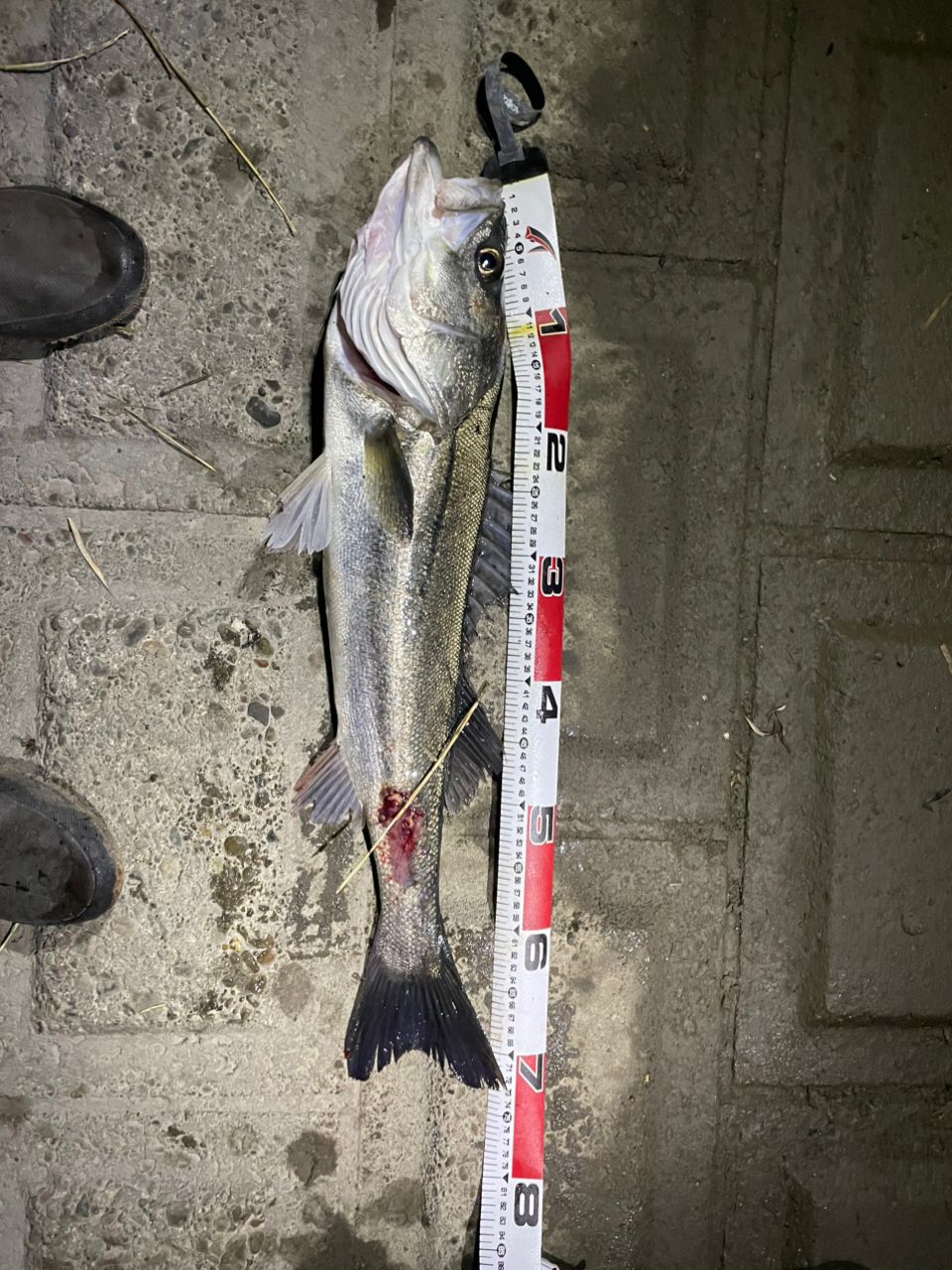 SHIMANO 23ディアルーナ S90Lの最安値・インプレ・釣果 | 本音の口コミ