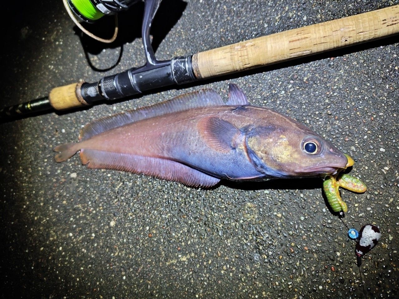 AbuGarcia ソルティーステージ・ロックフィッシュ SXRS-862MH-LA-KRの