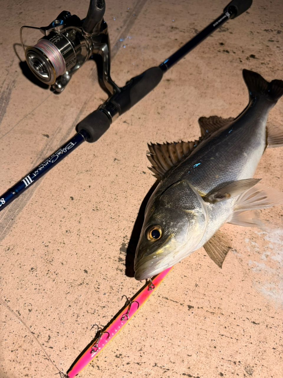 SHIMANO 18ステラ C2500SHGの最安値・インプレ・釣果 | 本音の口コミが