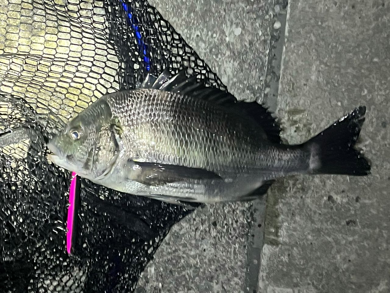 SHIMANO 22エクスセンス ∞ (インフィニティ) S96Mの最安値・インプレ