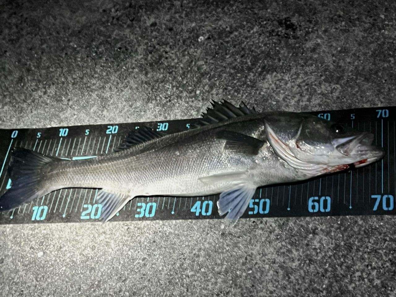 SHIMANO 22エクスセンス ∞ (インフィニティ) S96Mの最安値・インプレ