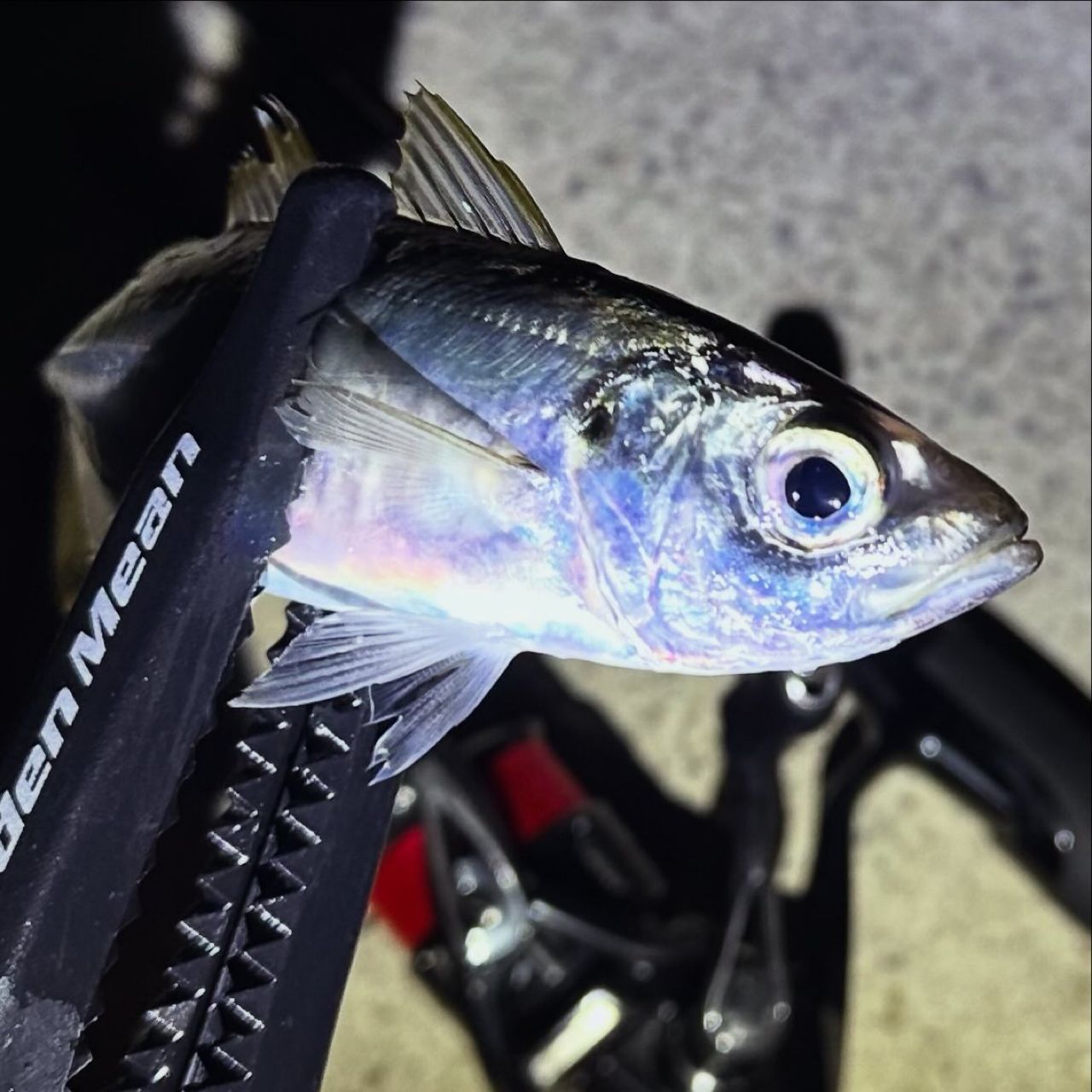 MajorCraft 鯵道 5G AD5-S622L/AJIの最安値・インプレ・釣果 | 本音の