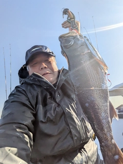 クロムツの釣果