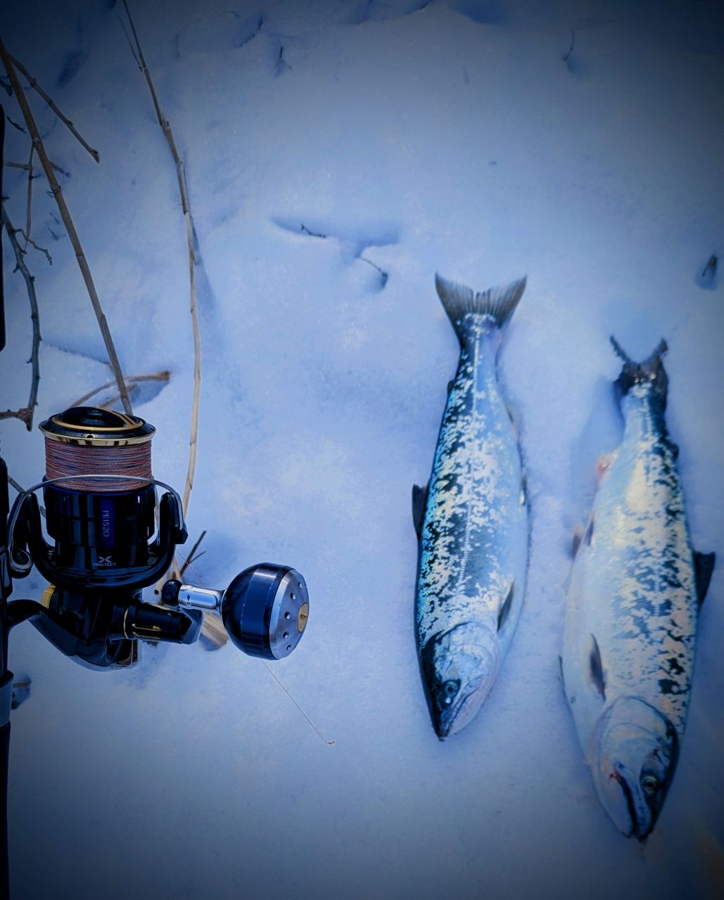 Ripple Fisher シルバーストリーム 112の最安値・インプレ・釣果