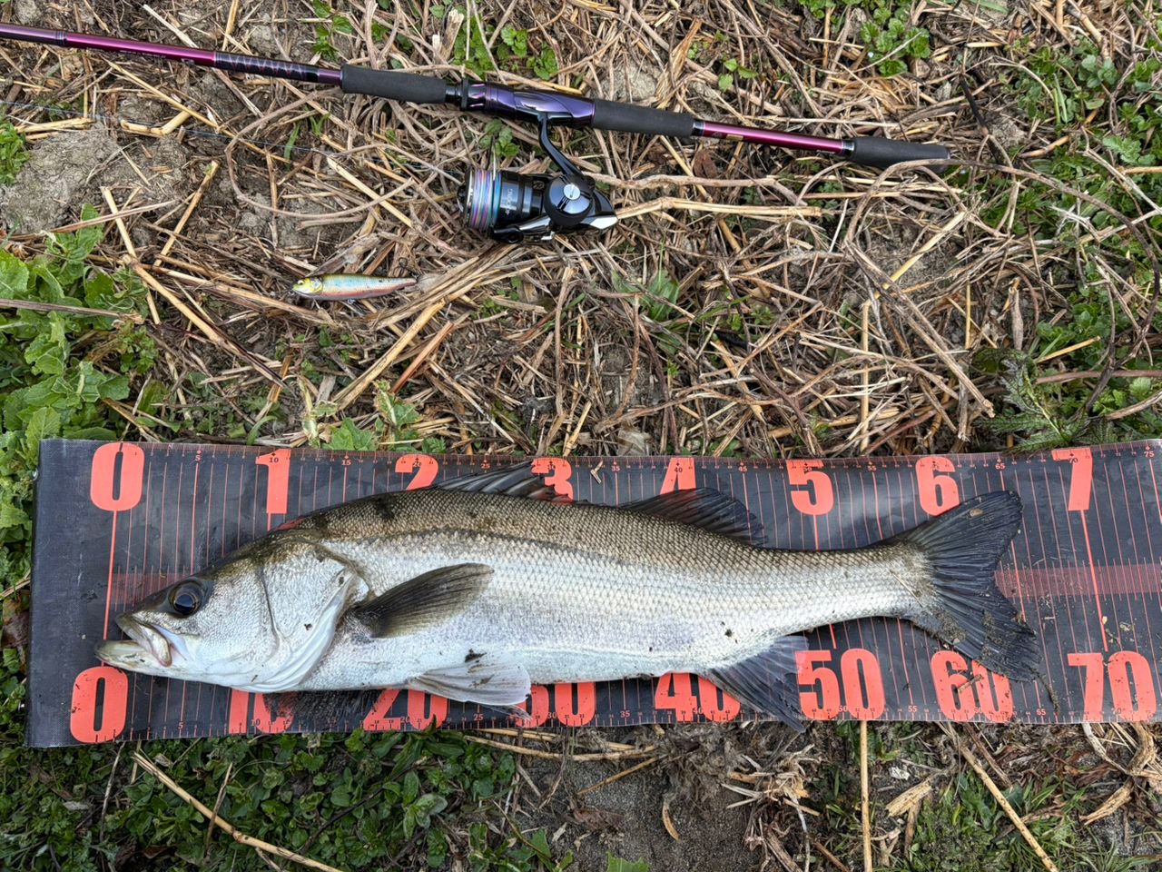 DAIWA 23ハートランド リベラリスト 903ML+RSS-22の最安値・インプレ