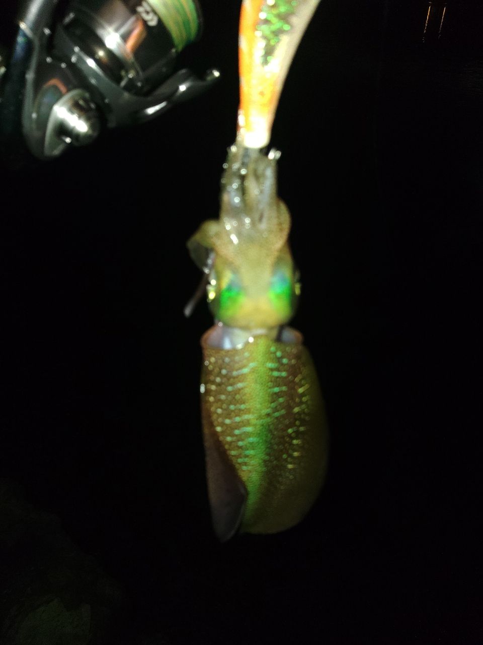 DAIWA 21エメラルダス ストイスト RT 76MMHの最安値・インプレ・釣果