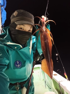 スルメイカの釣果