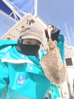 コウイカの釣果
