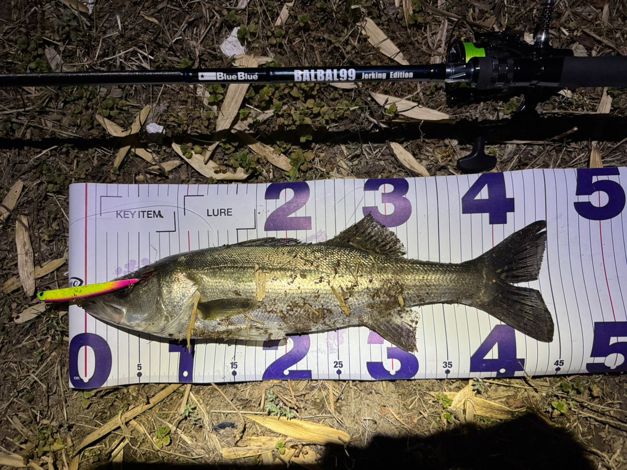 BlueBlue バルバル BALBAL99 Jerking Editionの最安値・インプレ・釣果