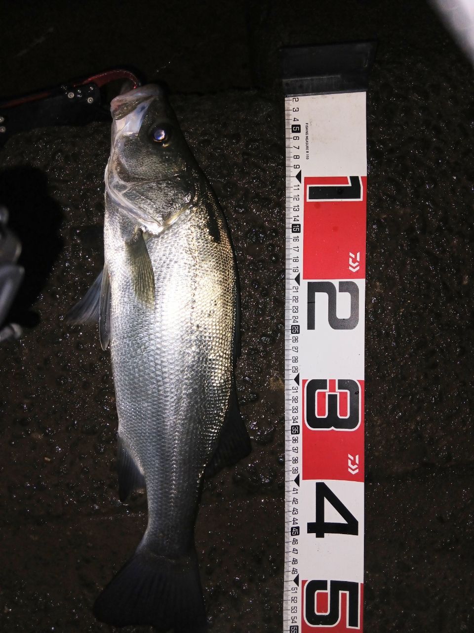 TENRYU スワット SW932S-LMLの最安値・インプレ・釣果 | 本音の口コミ